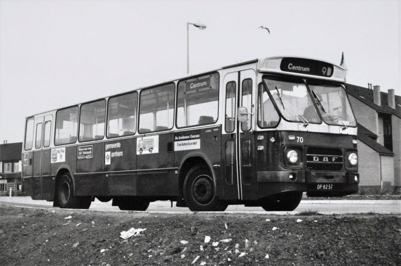 dieselbus
